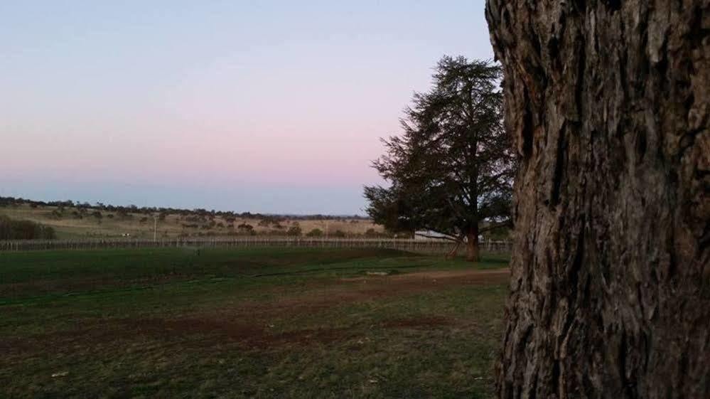 Petersons Armidale Winery And Guesthouse Экстерьер фото