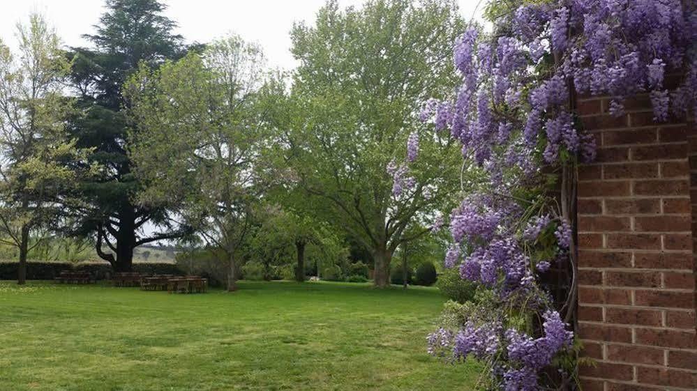 Petersons Armidale Winery And Guesthouse Экстерьер фото